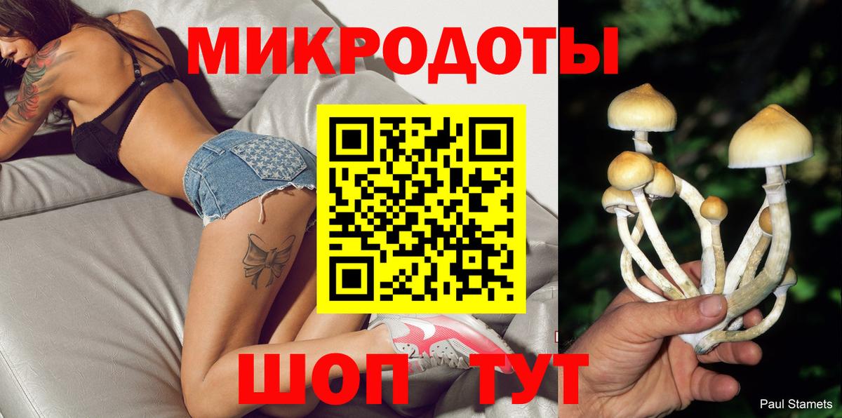 Галлюциногенные грибы Cubensis Евпатория